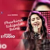 About Phur Kina Udigala Bani Song